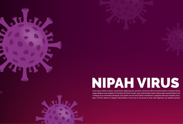 Nipah Vaccine ELISA Kits 이미지