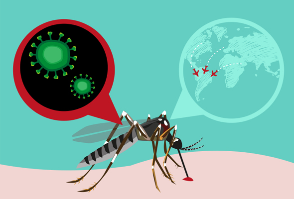 Malaria Vaccine ELISA | 모기 전염병 백신 ELISA Kit 이미지