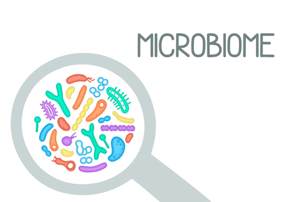 마이크로바이옴 미생물 qPCR Kit 이미지