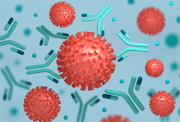 감염병 연구 항원,항체 | Infectious Disease Antibody & Antigen 이미지