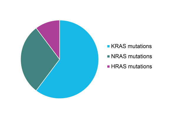 RAS Inhibitor Screening 서비스 | Oncology 분석서비스 이미지