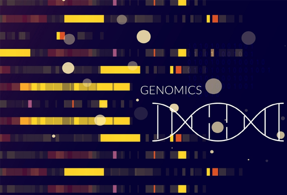 시퀀싱 서비스 | Sequencing Service 이미지