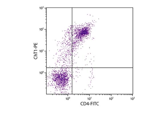 T cell CD Marker Antibody (CD3,CD4,CD8) 이미지