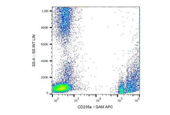 RBC, Platelet, Granulocyte CD Marker Antibody 이미지