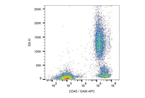 Leukocyte CD Marker Antibody (CD45) 이미지