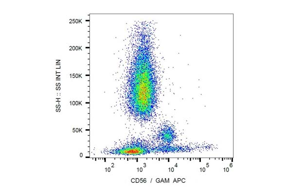 NK cell CD Marker Antibody (CD56) 이미지