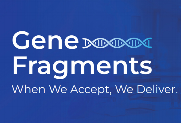 Gene Fragment 제작 서비스 이미지