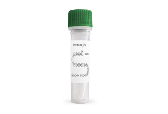 FLAG® Tag Peptide 이미지