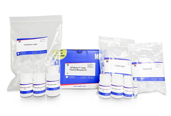 SPINeasy Yeast Plasmid Miniprep Kit 이미지