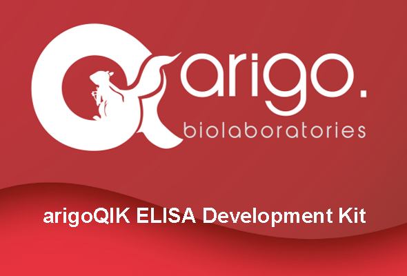 arigoQIK ELISA Development Kit 이미지