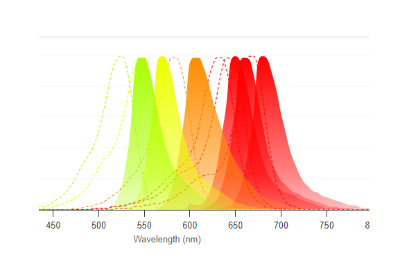 Fluorescent RNA Probes 이미지