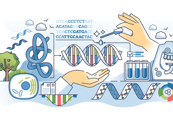 Smartomic RNA sequencing 서비스 | Transcriptomics 이미지