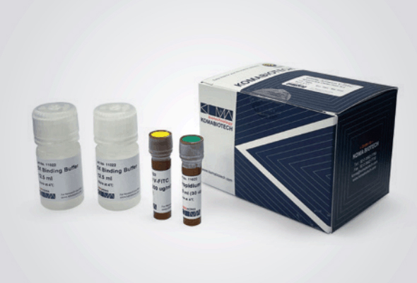 Annexin V-FITC Apoptosis Detection Kit 이미지