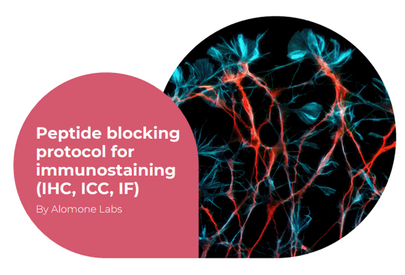 GPCR Blocking Peptide | Ion Channel Blocking Peptide 이미지