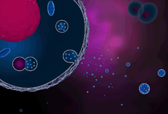 엑소좀 염색 | ExoBrite Exosome & EV Staining Kit 이미지