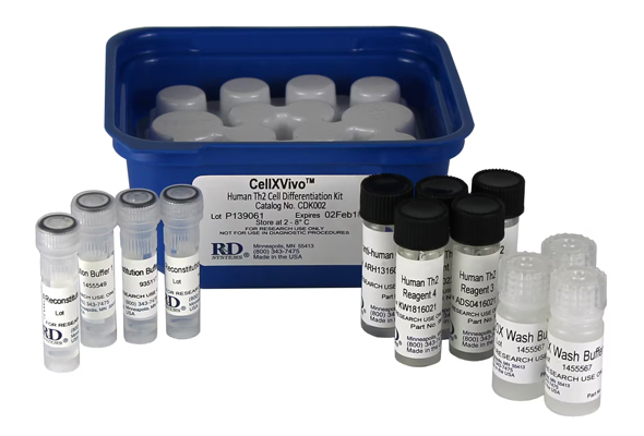 CellXVivo™ Immune Cell Differentiation and Expansion Kits 이미지