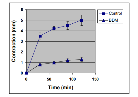 Contraction inhibition by BDM