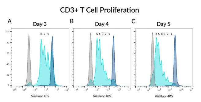 koma-cell-division-in-pbmc-cytometry-3.png