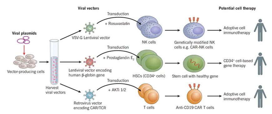 small molecules for viral transduction