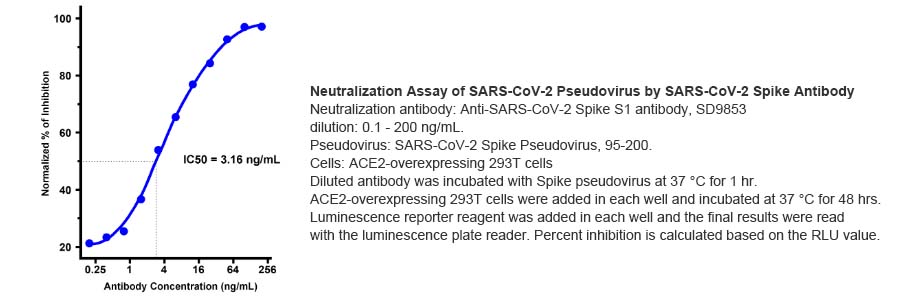 SARS-CoV-2-WT-Pseudovirus-95-200