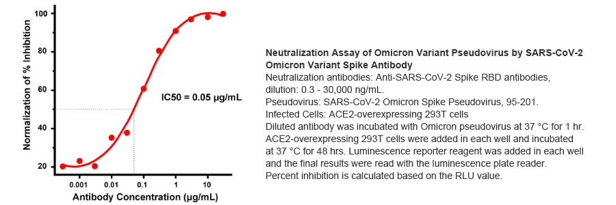SARS-CoV-2-omicron-BA.1-Variant-Pseudovirus-95-201