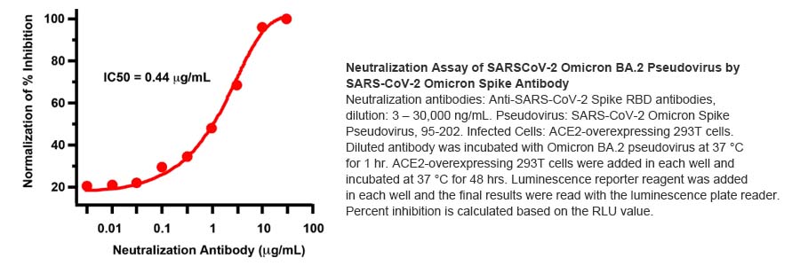 SARS-CoV-2-omicron-BA.2-Variant-Pseudovirus-95-202