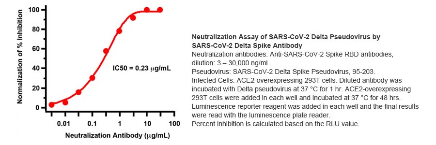 SARS-CoV-2-omicron-delta-Variant-Pseudovirus-95-203