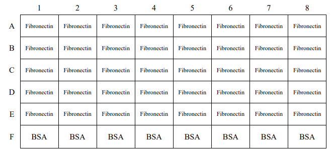 ecm-fibronectin-plate-layout