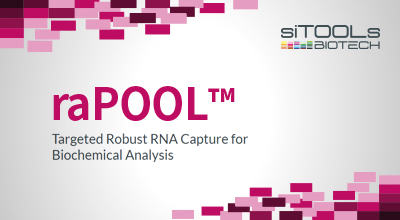 [siTOOL] raPOOL 20% 할인 이벤트 이미지