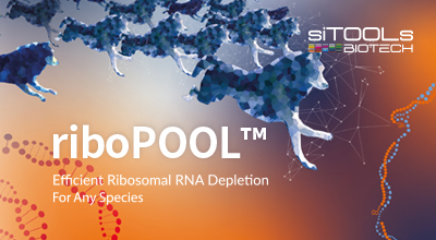 [siTOOL] riboPOOL 20% 할인 이벤트 이미지