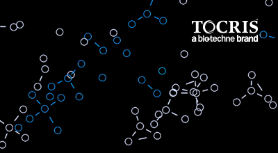 [TOCRIS] 오가노이드 small molecule 100만원 이상 구매시 Y-27632 10mg 무료 제공 이미지