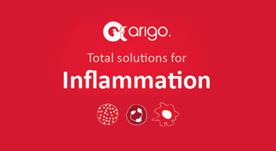 [ARIGO] 다양한 분야의 Inflammation 제품 20% 할인 이미지