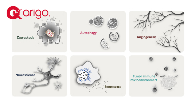 Antibody Duo & Panel 20% 할인이벤트 이미지